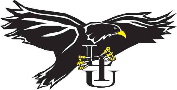 LIU-Brooklyn Blackbirds 1996-2007 Primary Logo iron on transfers for clothing